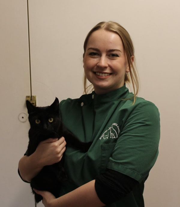 awaiting image Burghley Vets