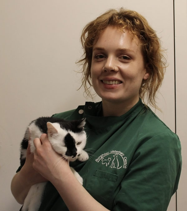 awaiting image Burghley Vets