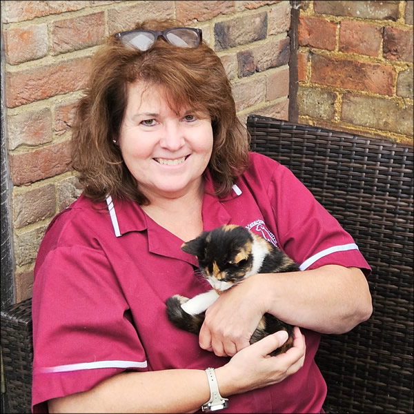 awaiting image Burghley Vets